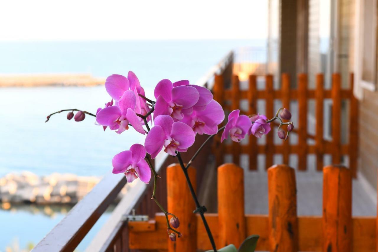 Attico 195 Bed & Breakfast Salerno Exterior photo